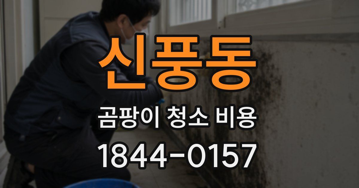 신풍동 곰팡이 청소 비용