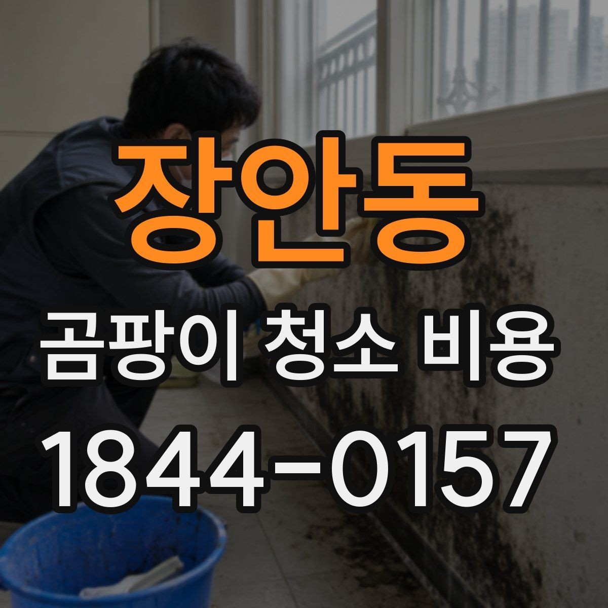 장안동 곰팡이 청소 비용 원인 진단과 재발 방지까지 함께 볼 때