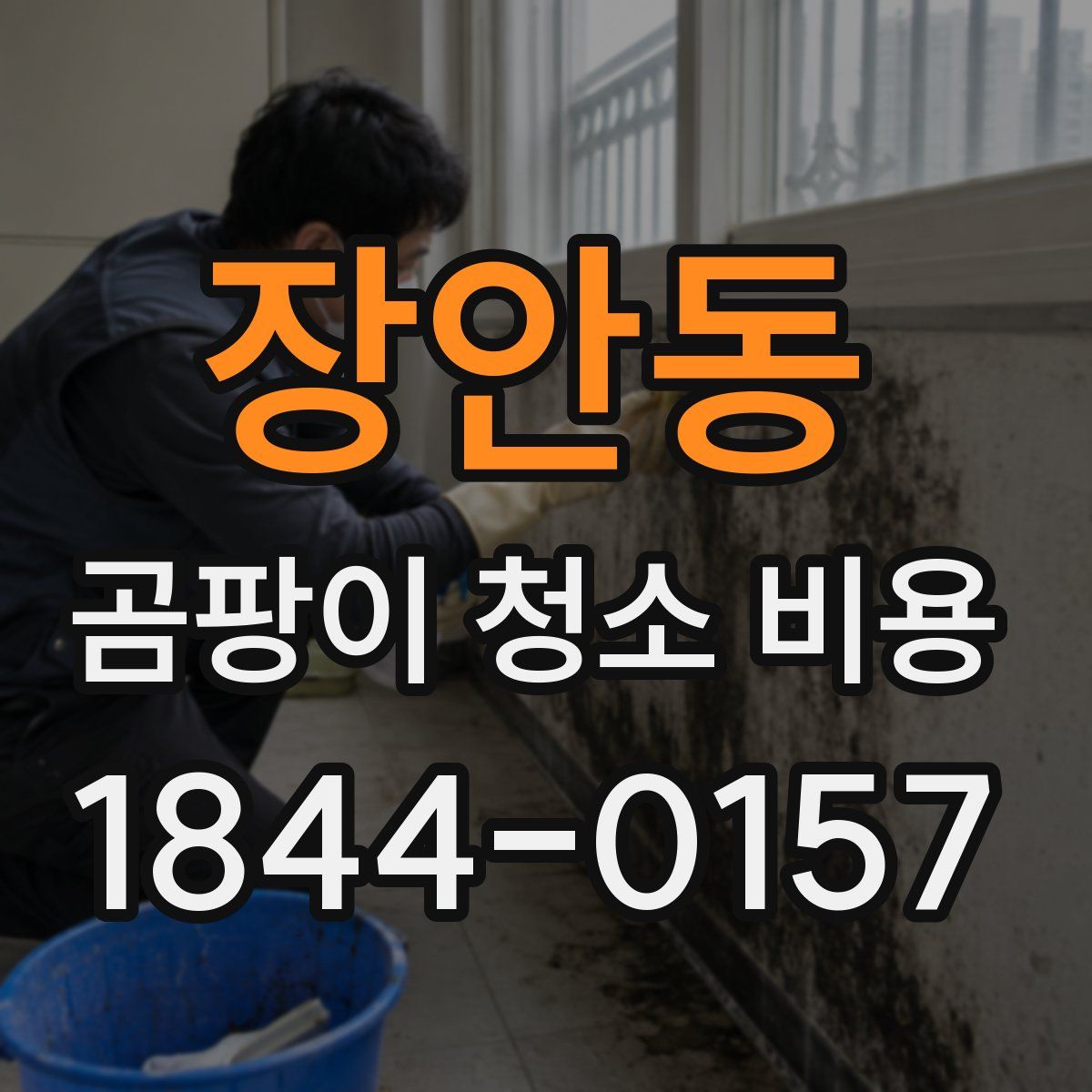 장안동 곰팡이 청소 비용