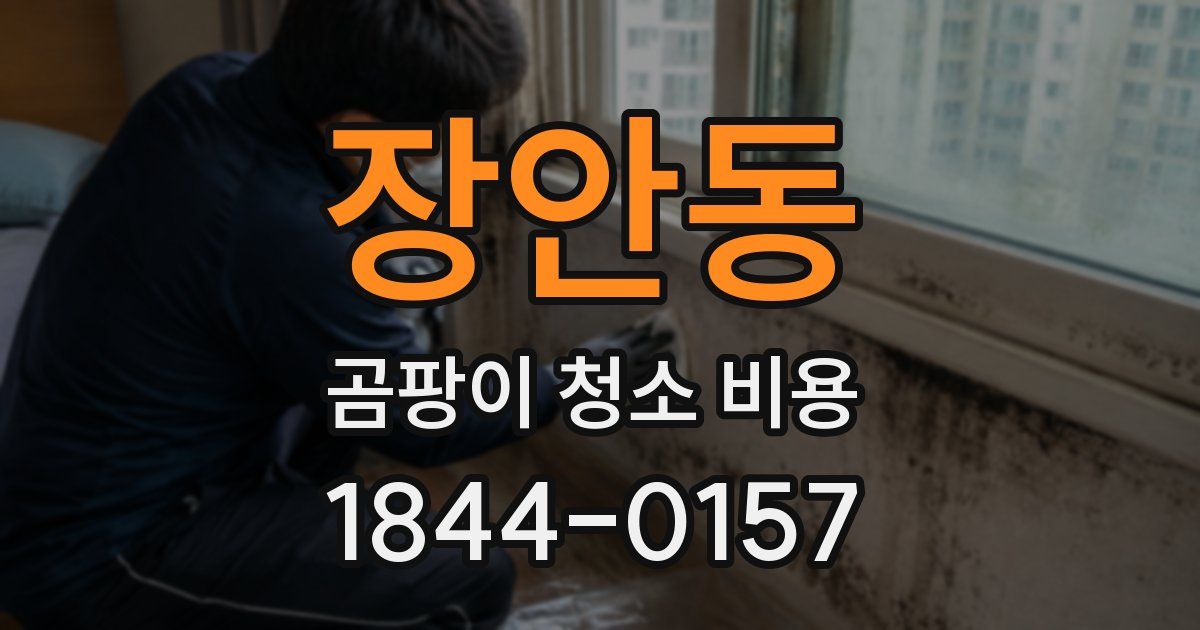 장안동 곰팡이 청소 비용