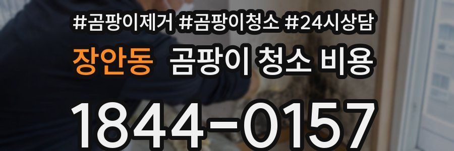 장안동 곰팡이 청소 비용