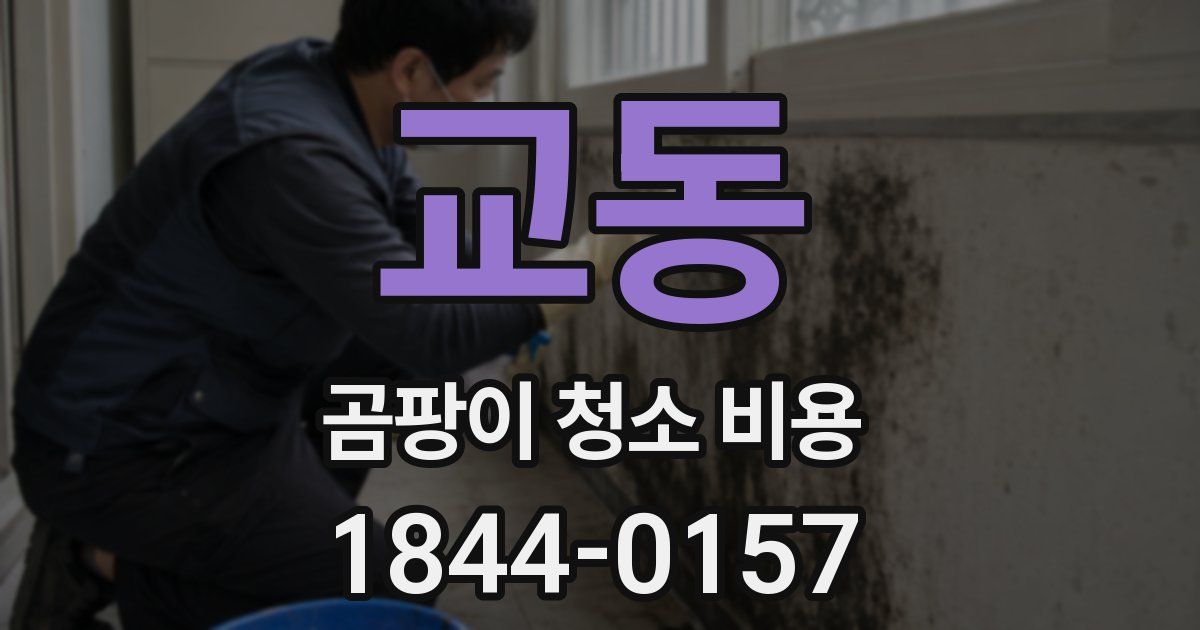 교동 곰팡이 청소 비용
