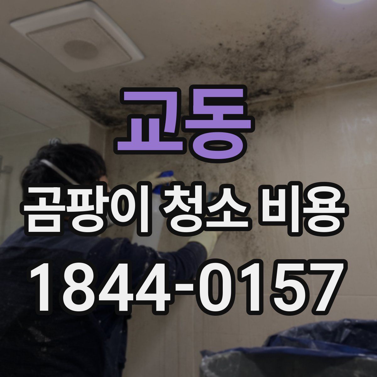 교동 곰팡이 청소 비용