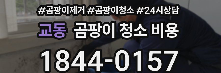 교동 곰팡이 청소 비용