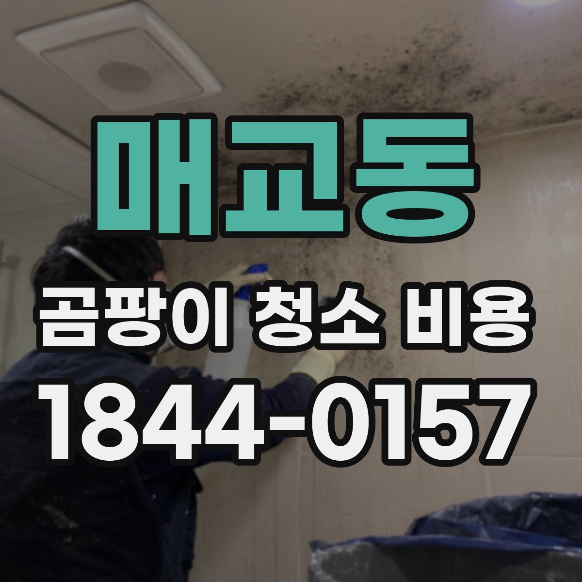 매교동 곰팡이 청소 비용