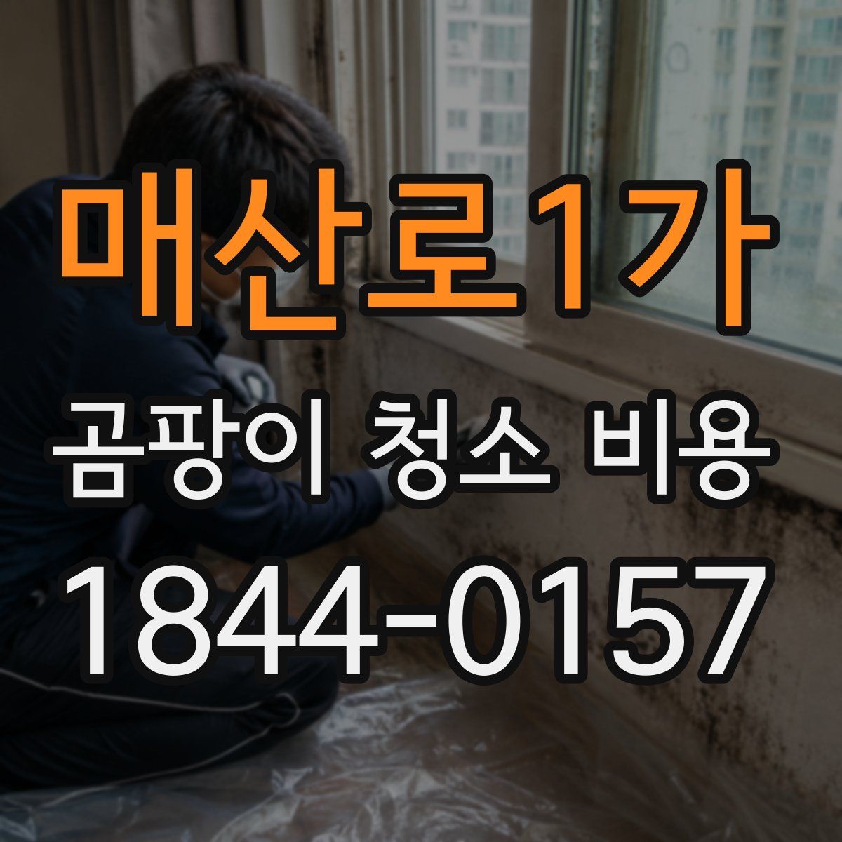 매산로1가 곰팡이 청소 비용