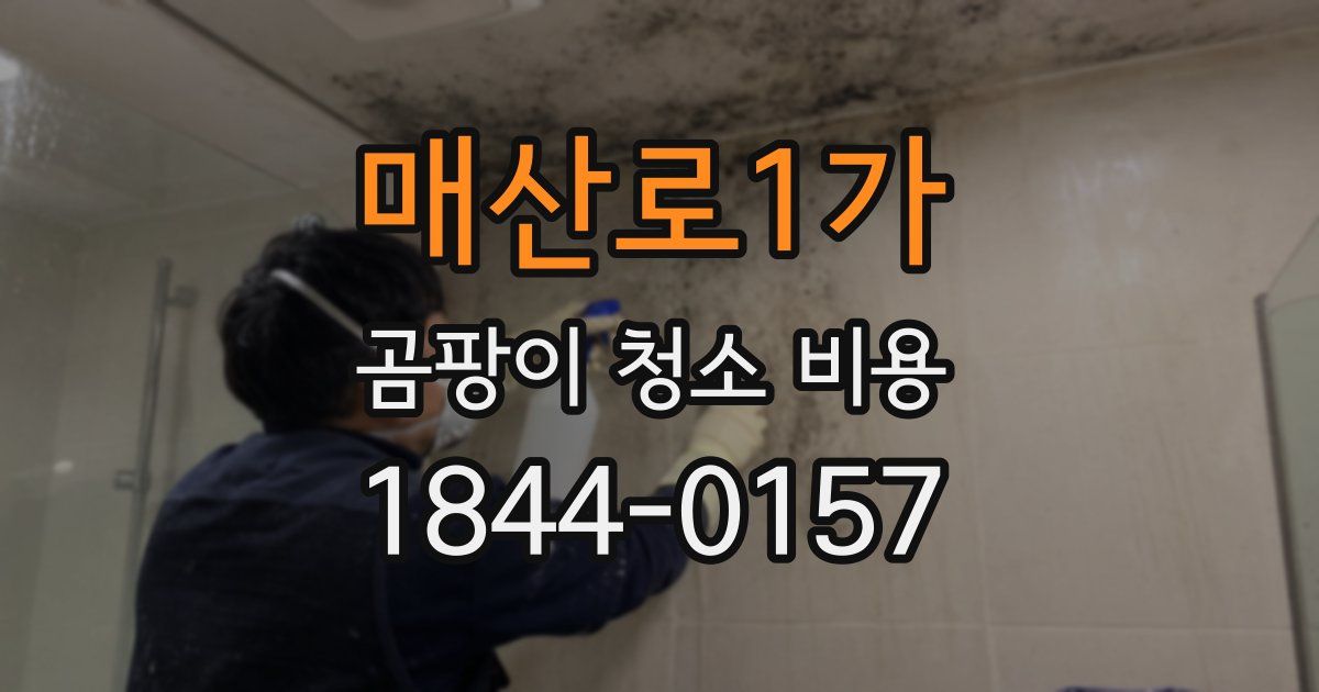 매산로1가 곰팡이 청소 비용