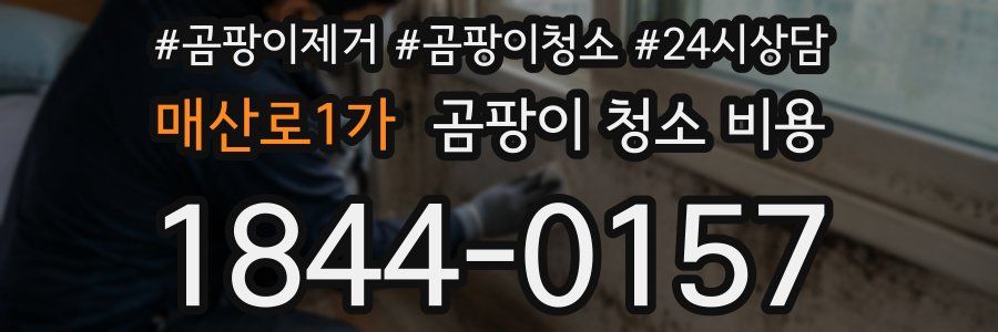 매산로1가 곰팡이 청소 비용
