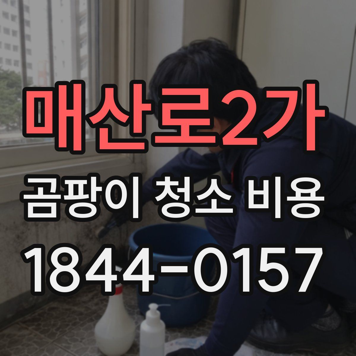 매산로2가 곰팡이 청소 비용