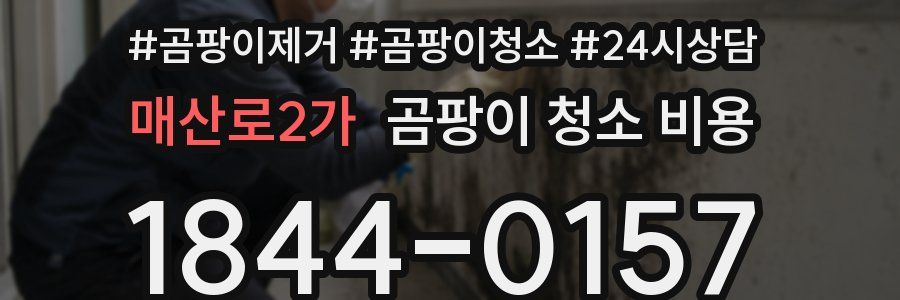 매산로2가 곰팡이 청소 비용