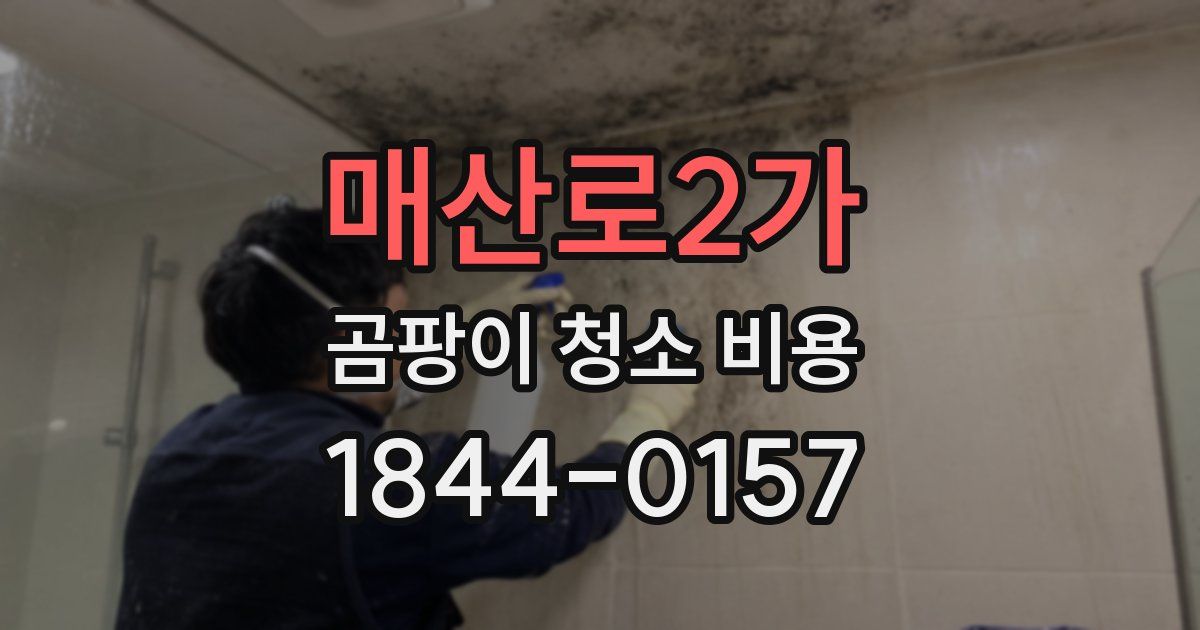 매산로2가 곰팡이 청소 비용