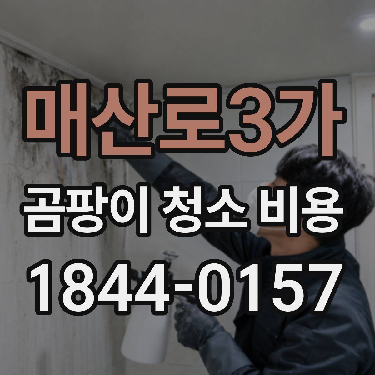 매산로3가 곰팡이 청소 비용