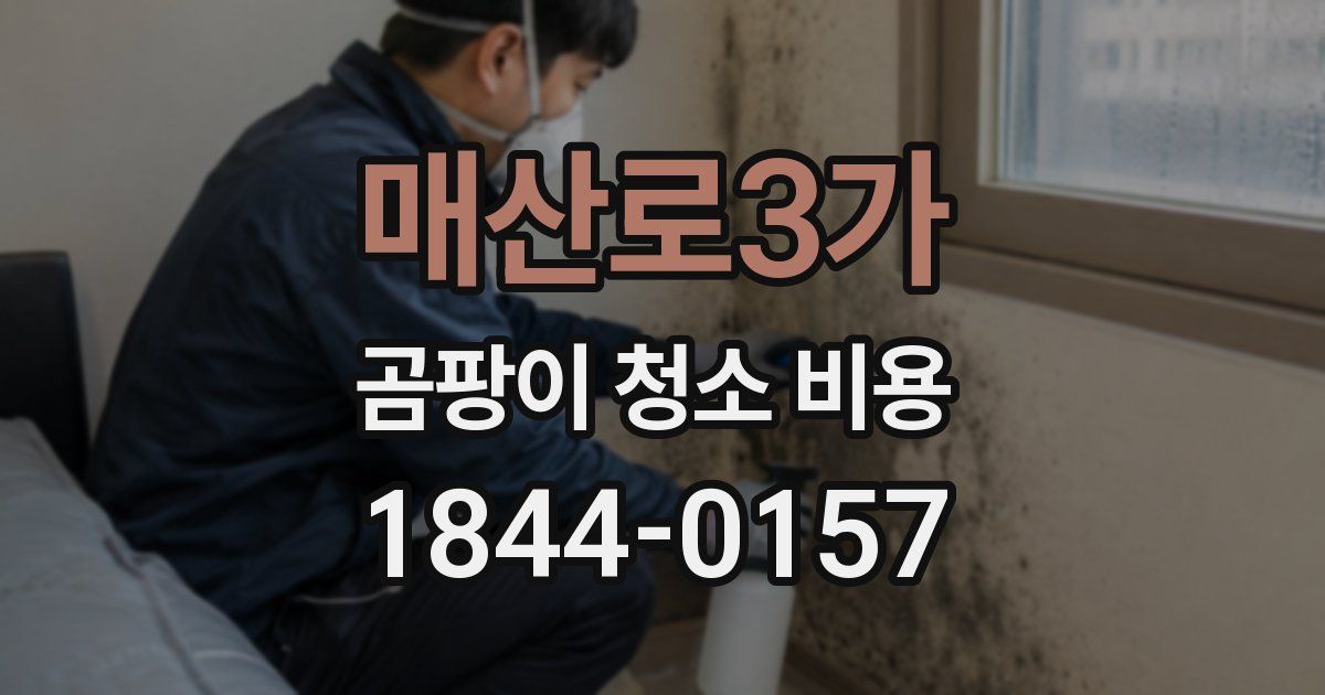 매산로3가 곰팡이 청소 비용