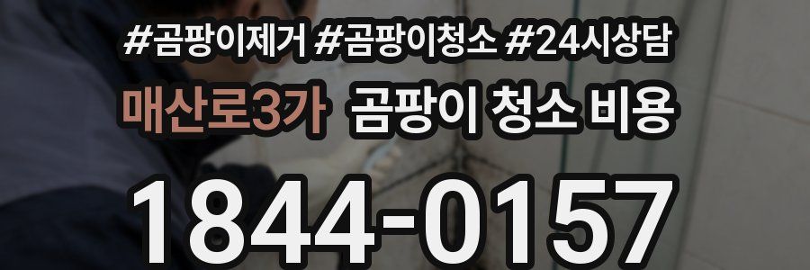 매산로3가 곰팡이 청소 비용