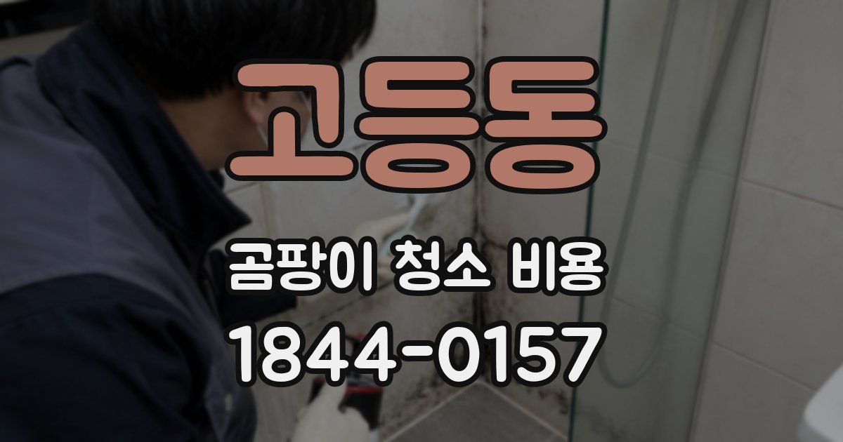 고등동 곰팡이 청소 비용