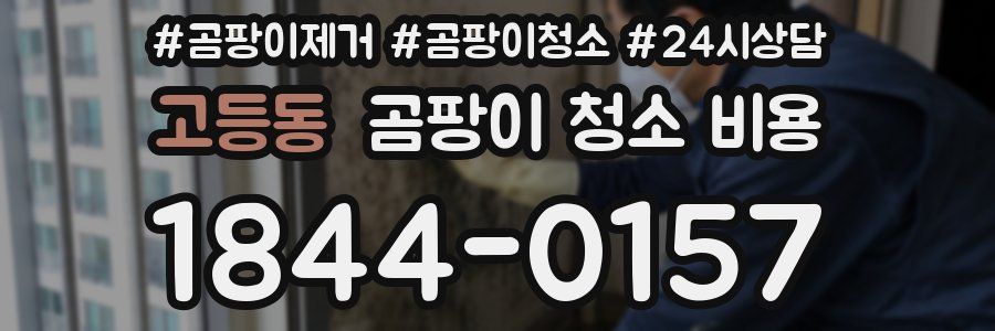 고등동 곰팡이 청소 비용