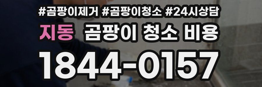지동 곰팡이 청소 비용