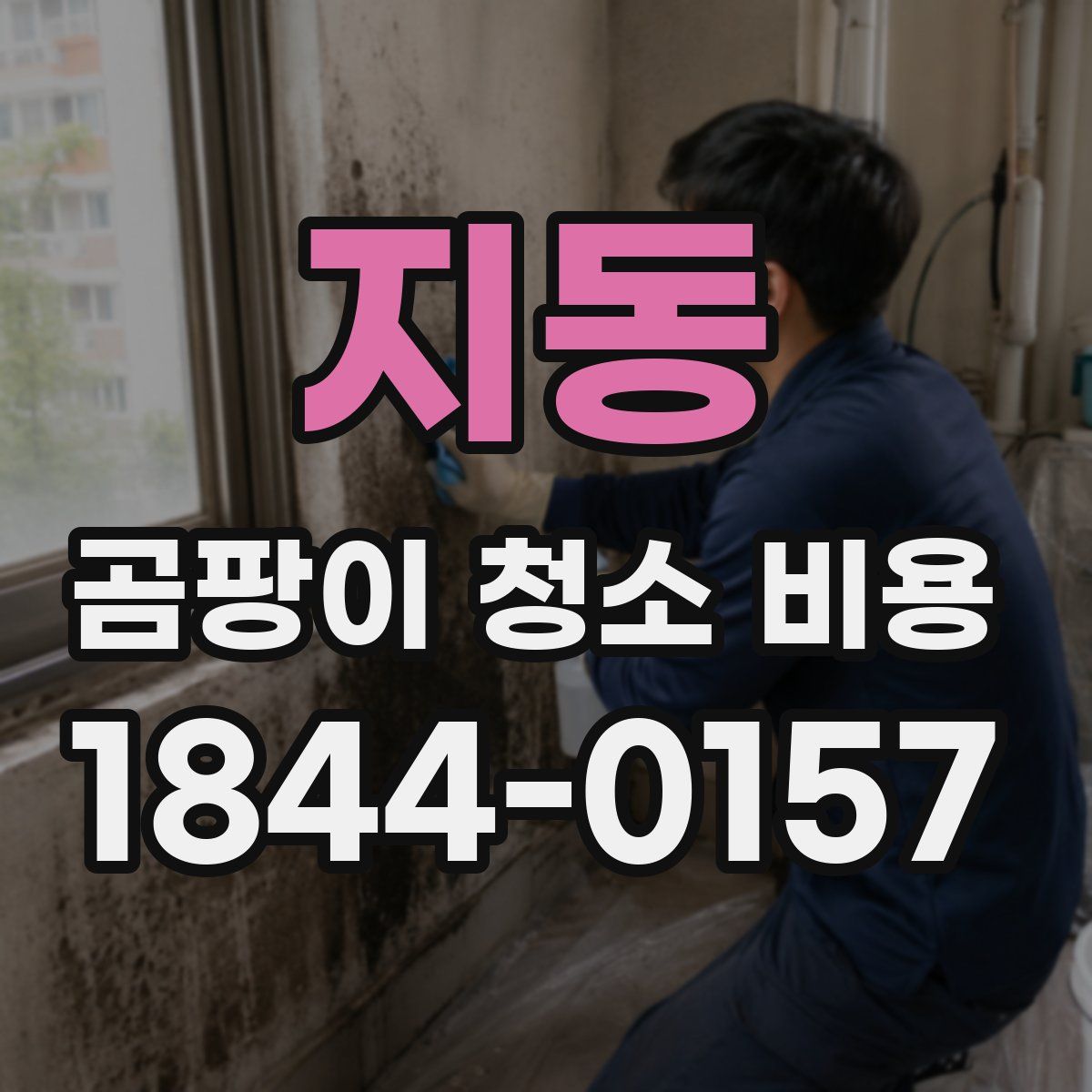 지동 곰팡이 청소 비용