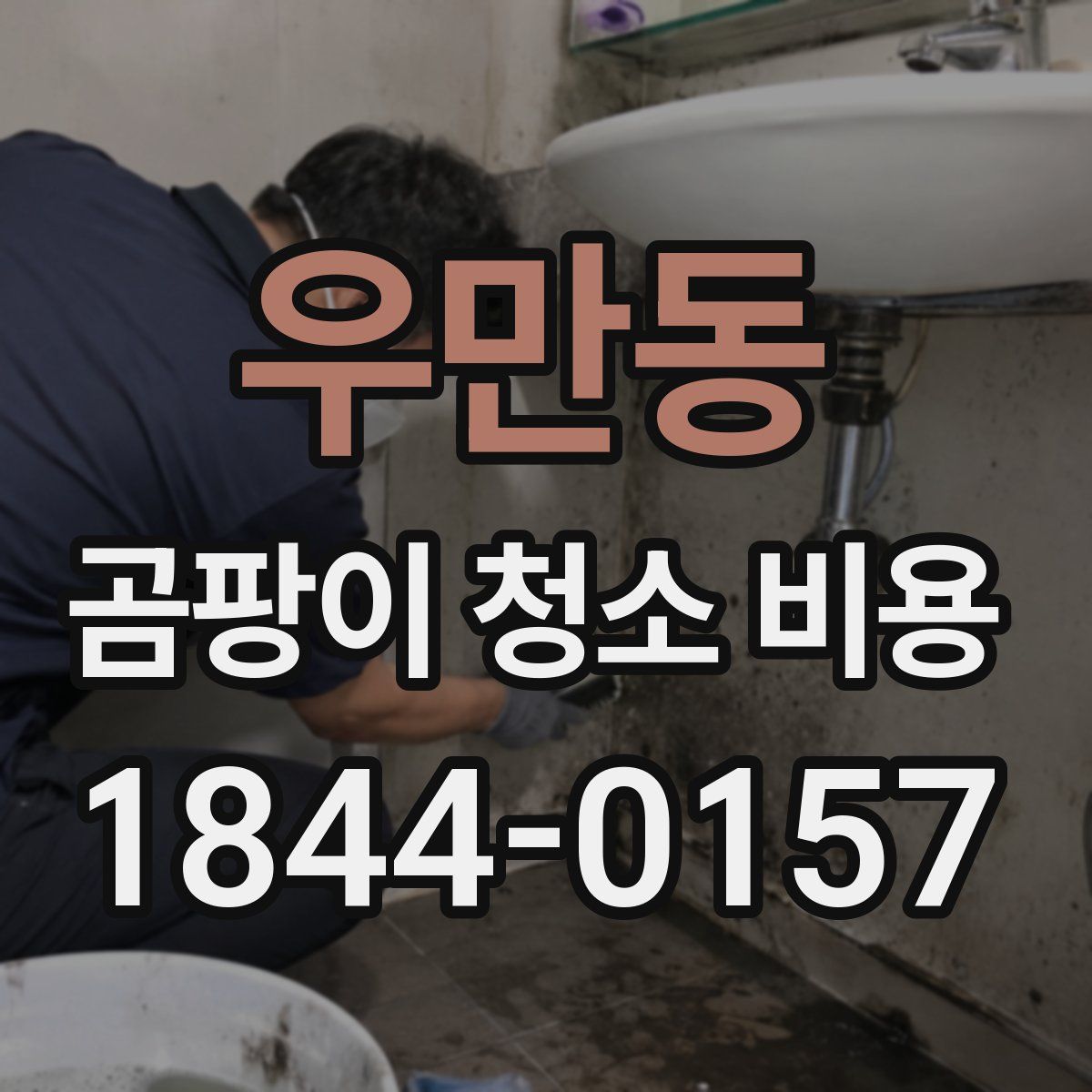 우만동 곰팡이 청소 비용