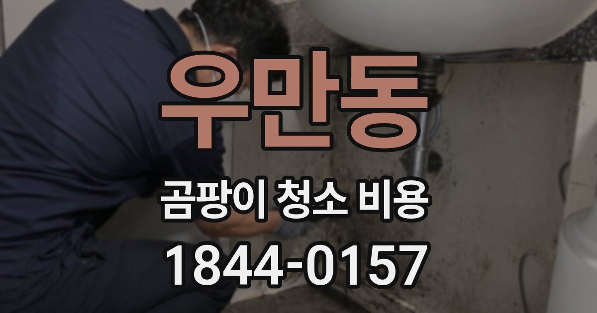 우만동 곰팡이 청소 비용