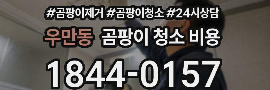 우만동 곰팡이 청소 비용