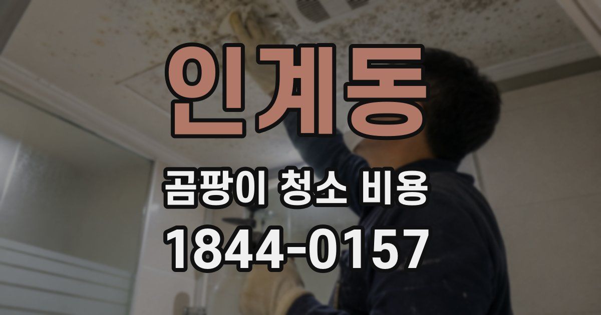 인계동 곰팡이 청소 비용