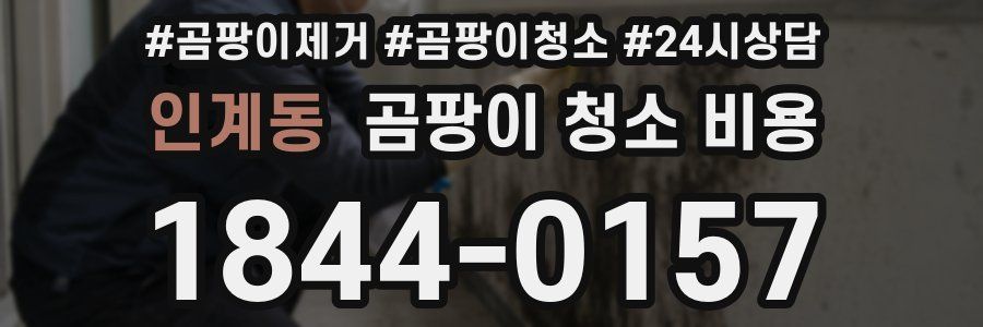 인계동 곰팡이 청소 비용