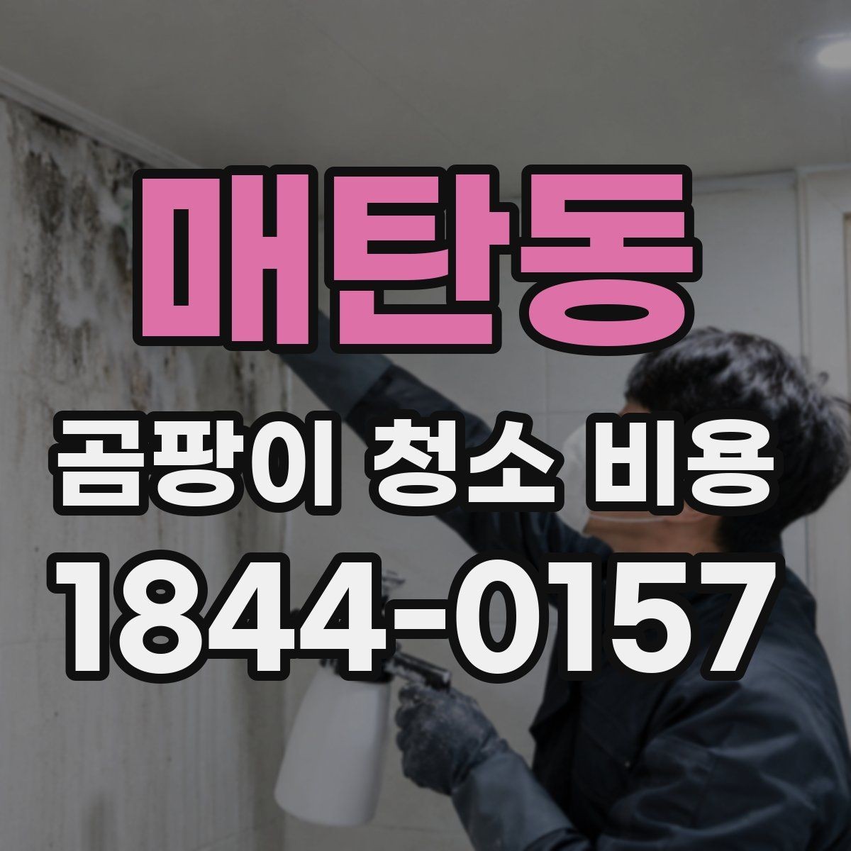 매탄동 곰팡이 청소 비용 옷장 내부와 붙박이장 주변 정리 기준