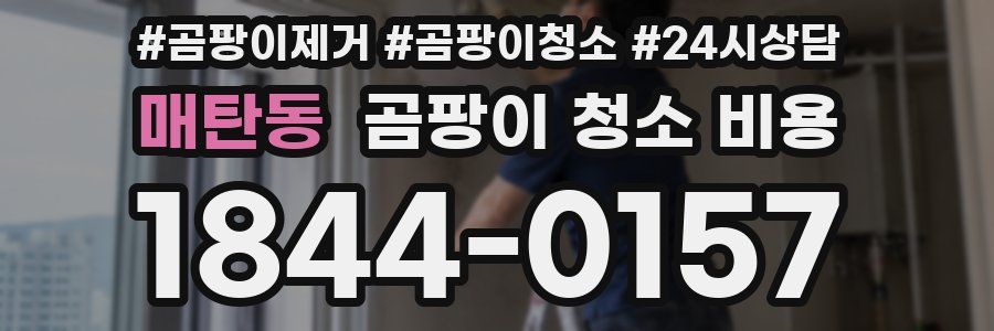 매탄동 곰팡이 청소 비용