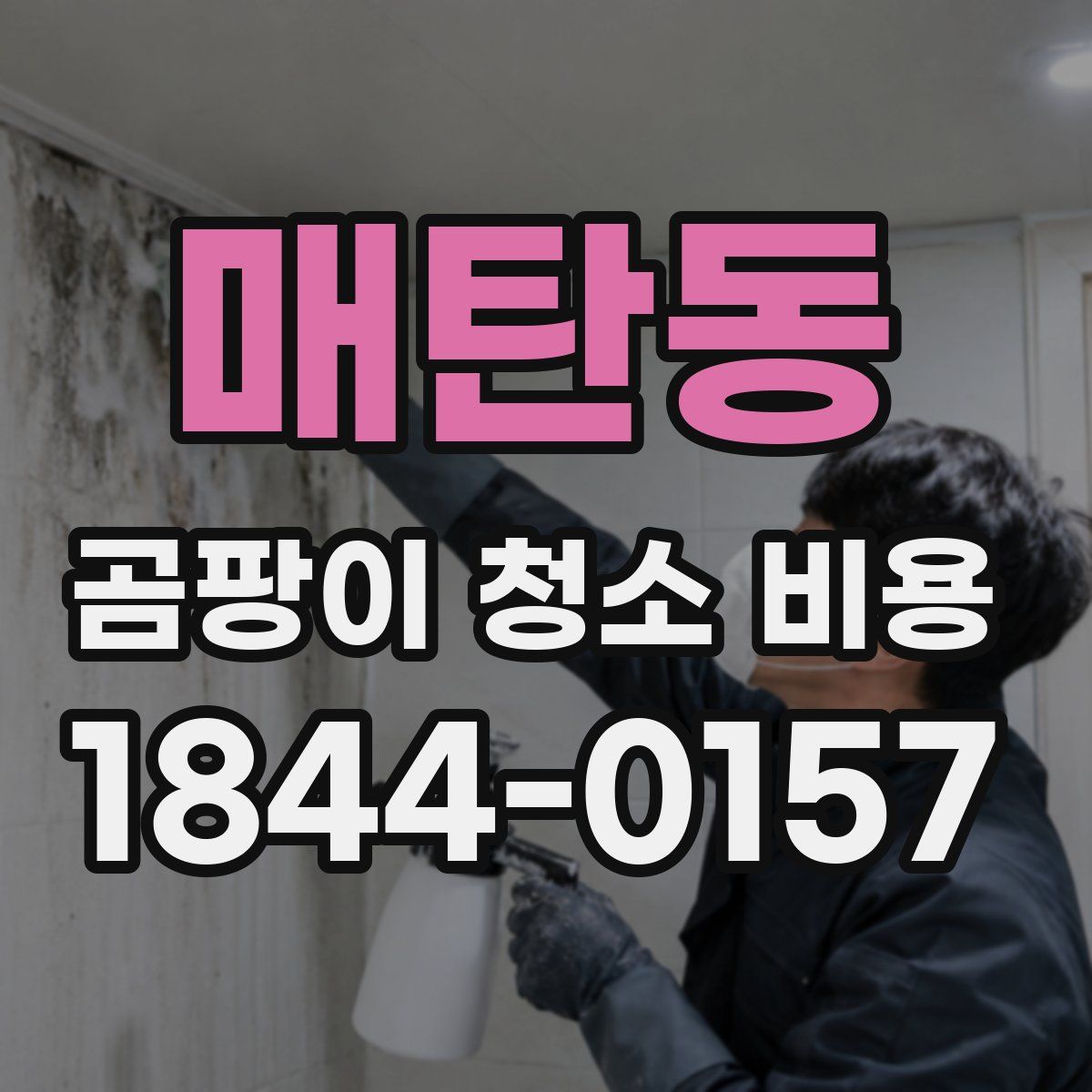 매탄동 곰팡이 청소 비용