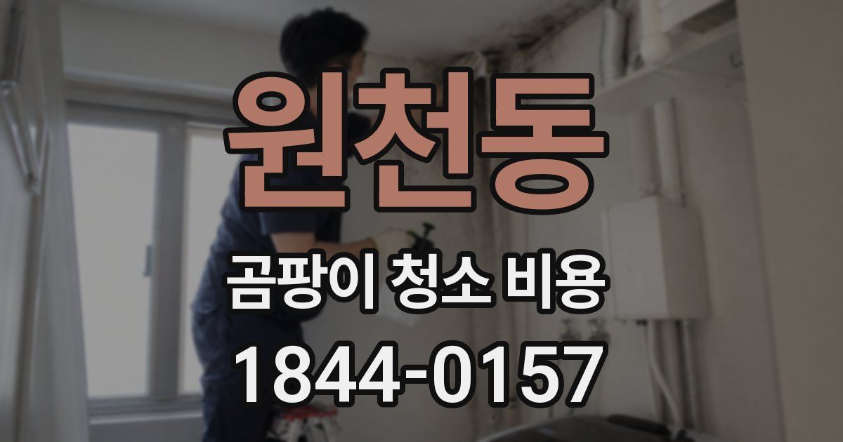 원천동 곰팡이 청소 비용