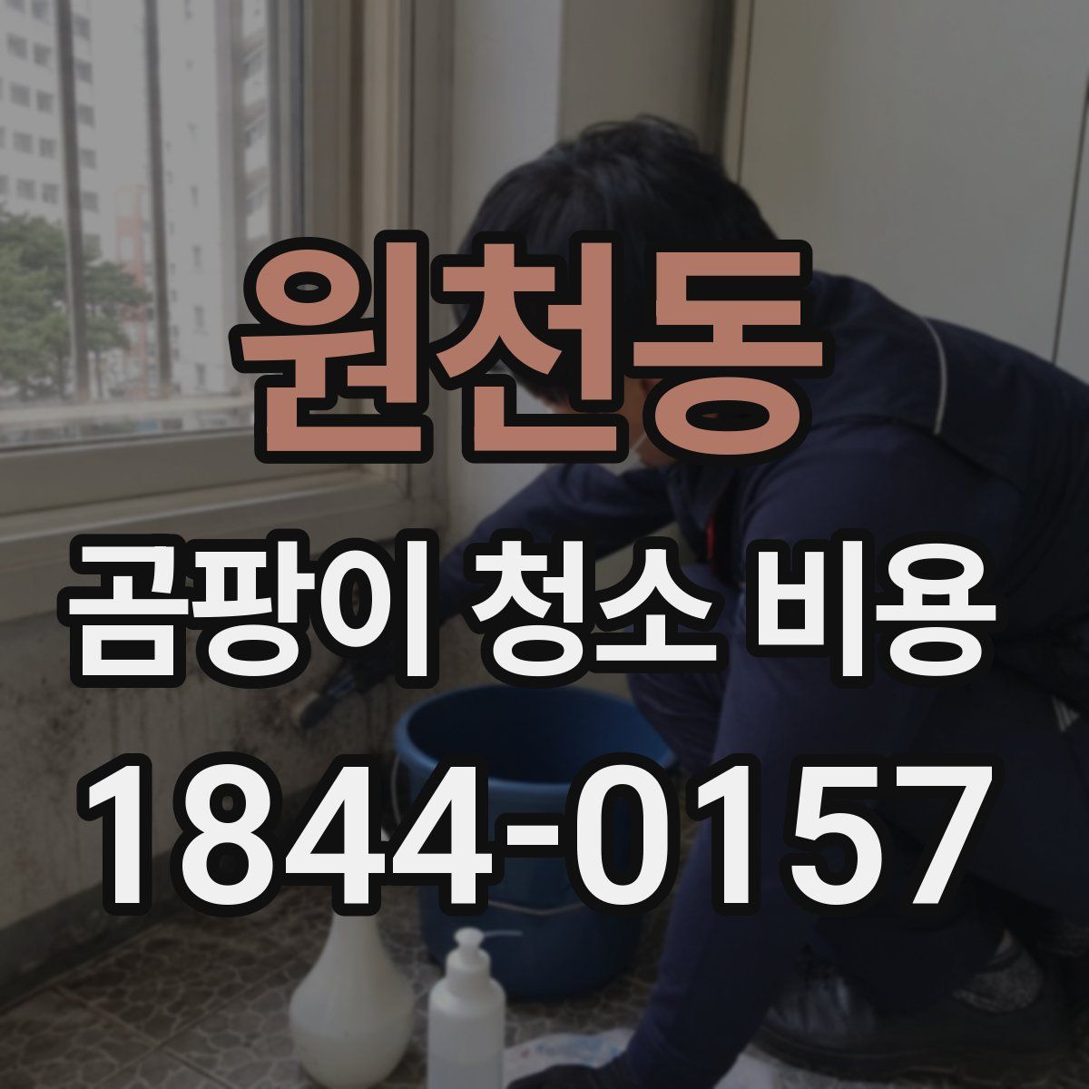 원천동 곰팡이 청소 비용