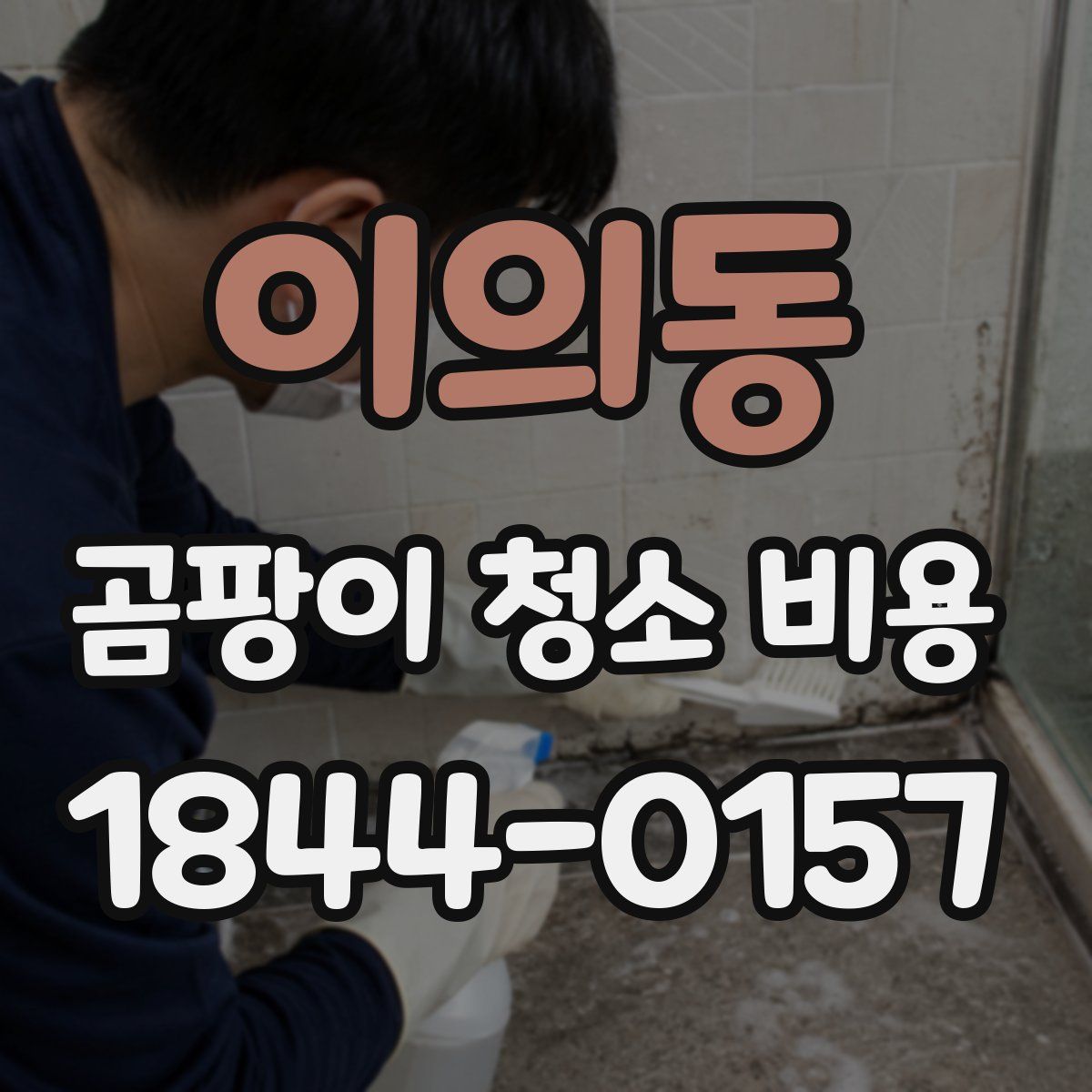 이의동 곰팡이 청소 비용