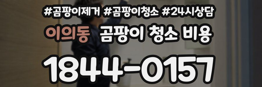 이의동 곰팡이 청소 비용
