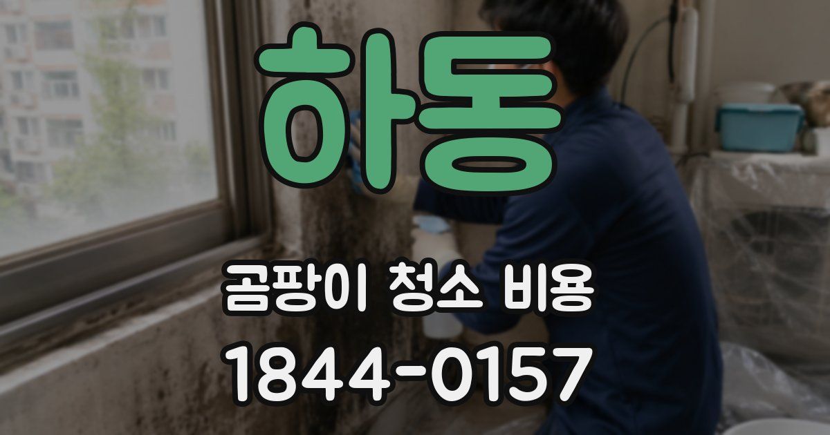 하동 곰팡이 청소 비용
