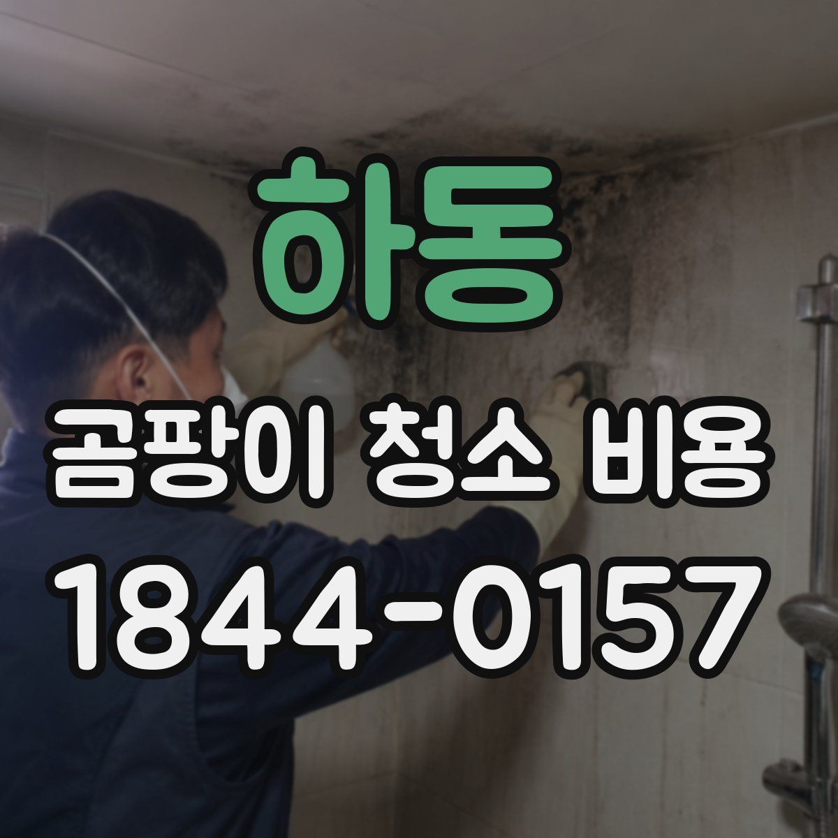 하동 곰팡이 청소 비용