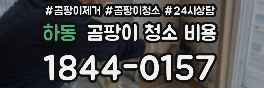 하동 곰팡이 청소 비용