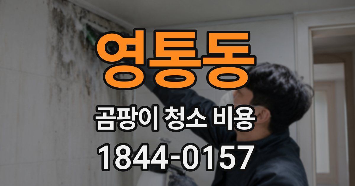 영통동 곰팡이 청소 비용