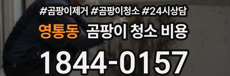 영통동 곰팡이 청소 비용