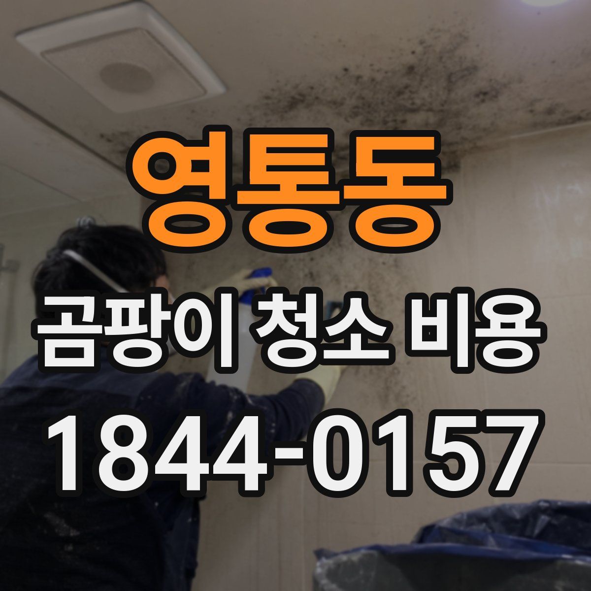 영통동 곰팡이 청소 비용