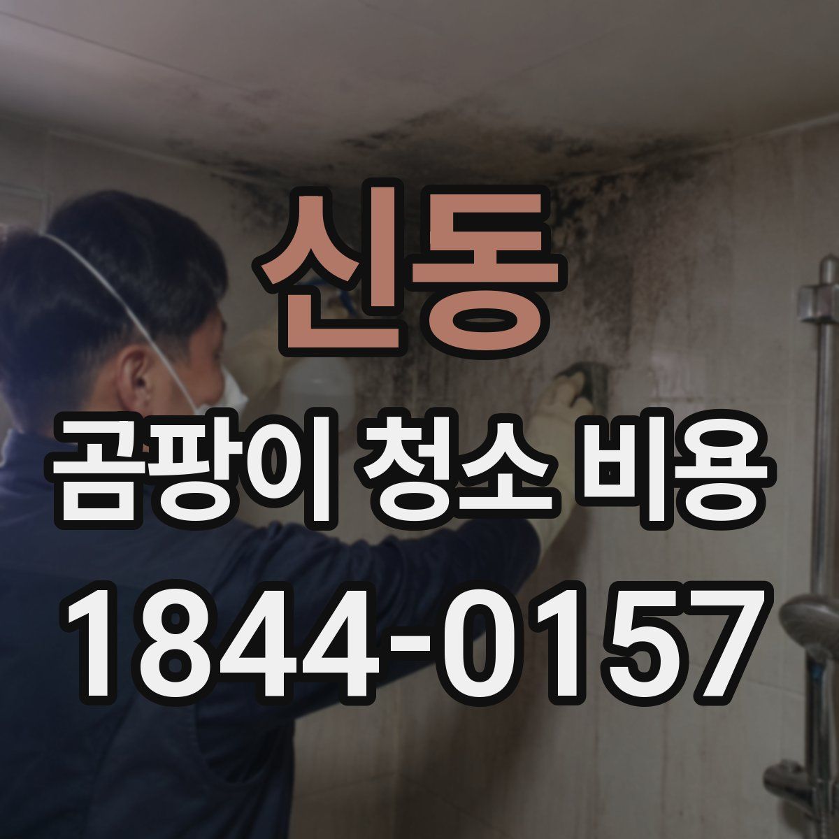 신동 곰팡이 청소 비용