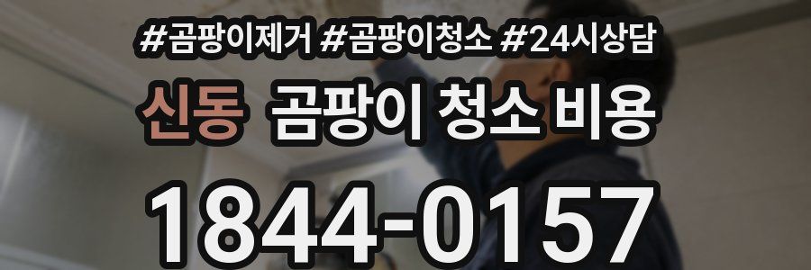 신동 곰팡이 청소 비용
