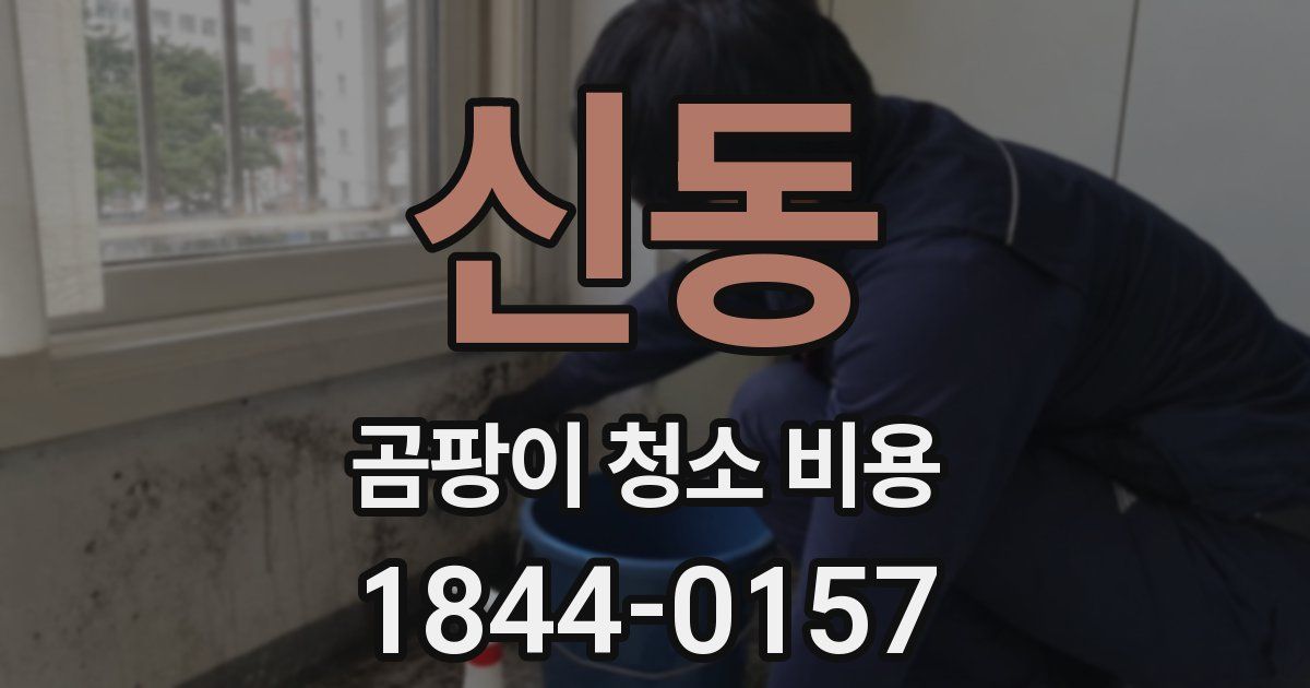 신동 곰팡이 청소 비용