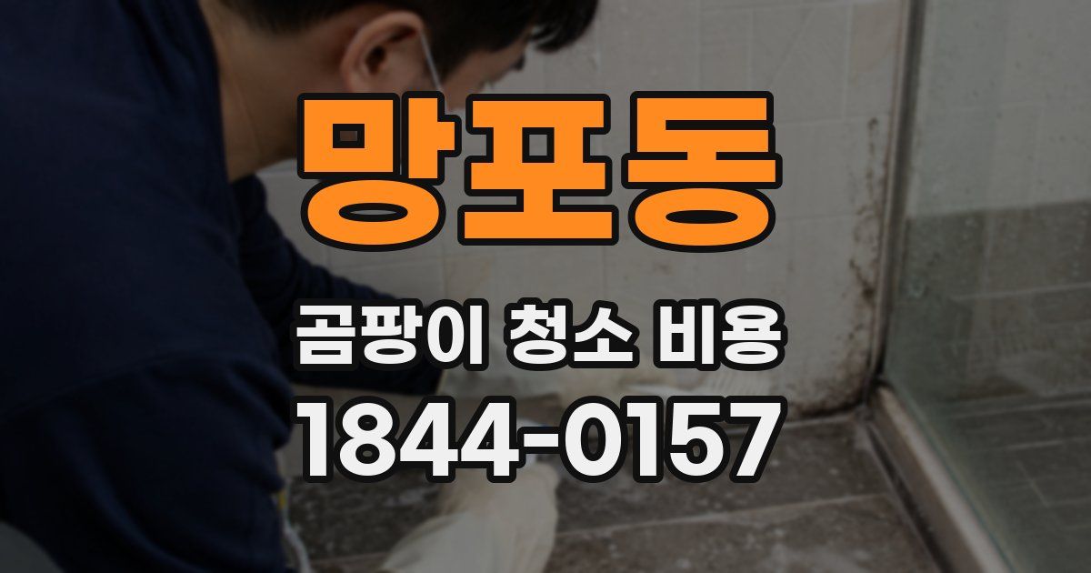 망포동 곰팡이 청소 비용