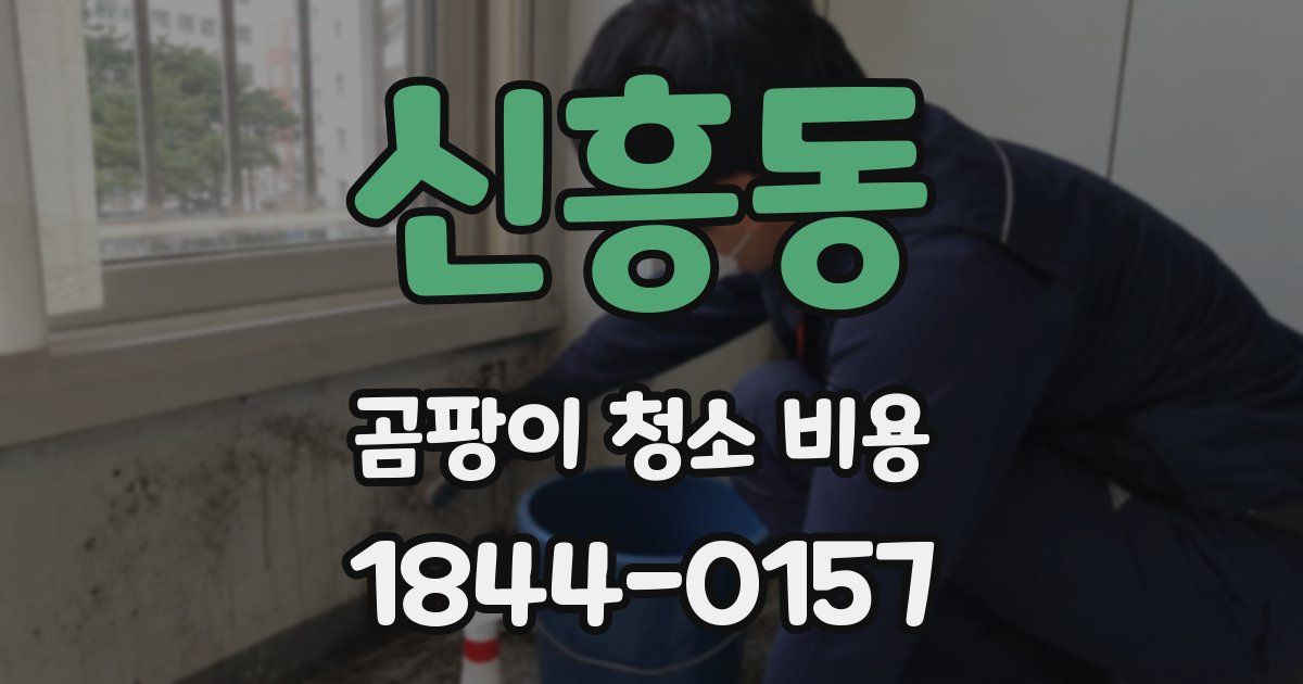 신흥동 곰팡이 청소 비용