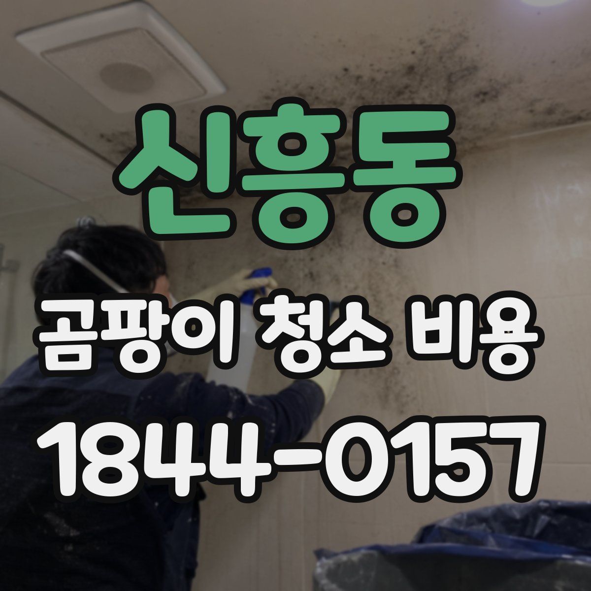 신흥동 곰팡이 청소 비용