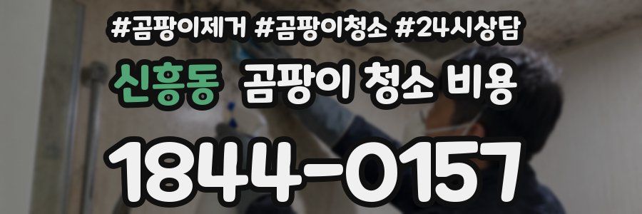 신흥동 곰팡이 청소 비용