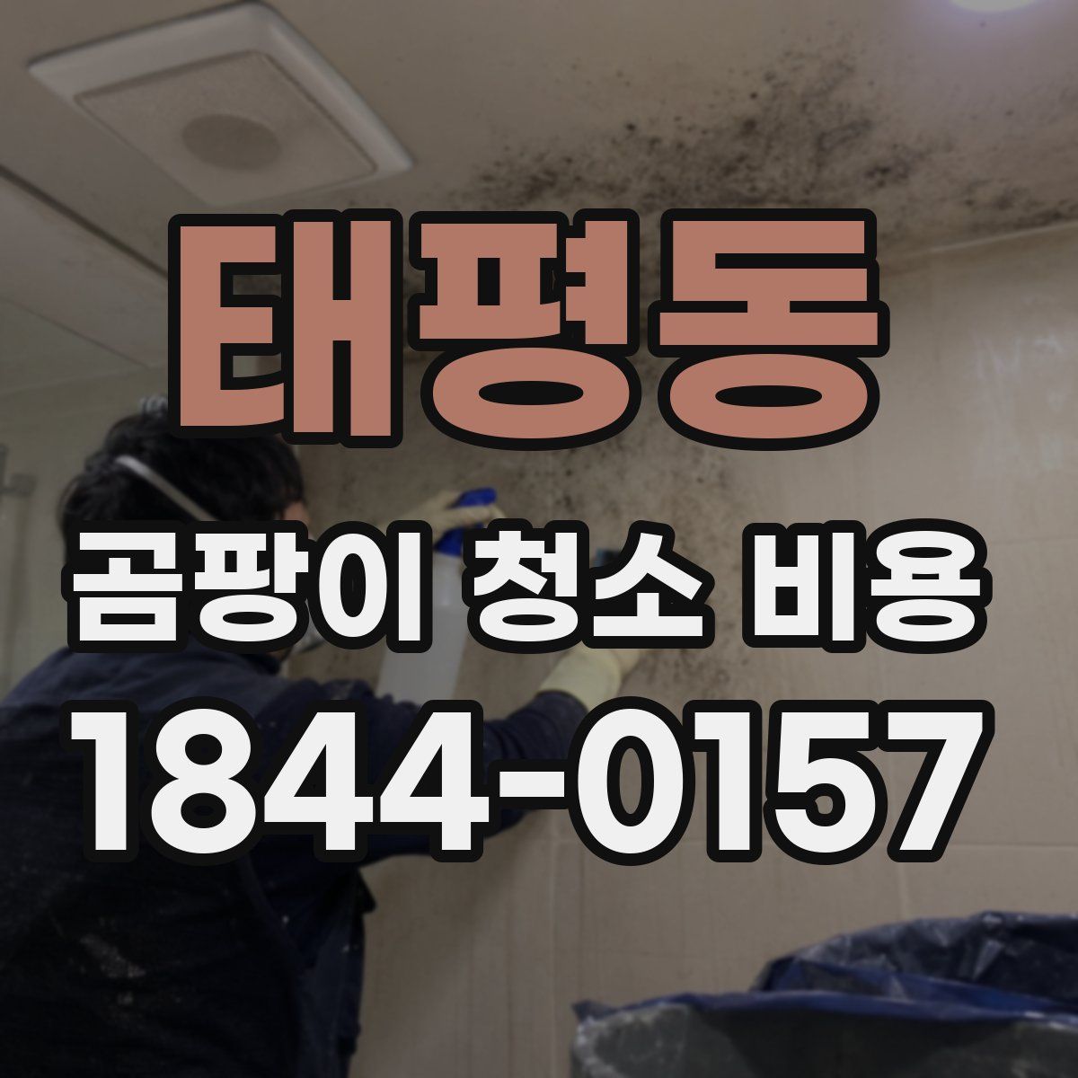 태평동 곰팡이 청소 비용