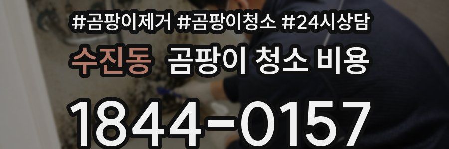 수진동 곰팡이 청소 비용