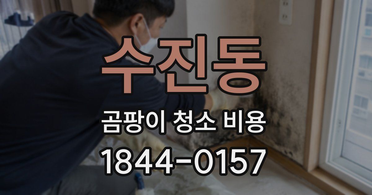 수진동 곰팡이 청소 비용